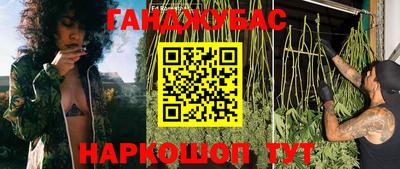 гашик Можга