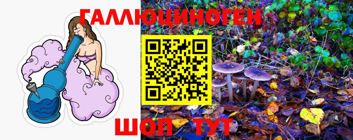Псилоцибиновые грибы Psilocybe Шарыпово