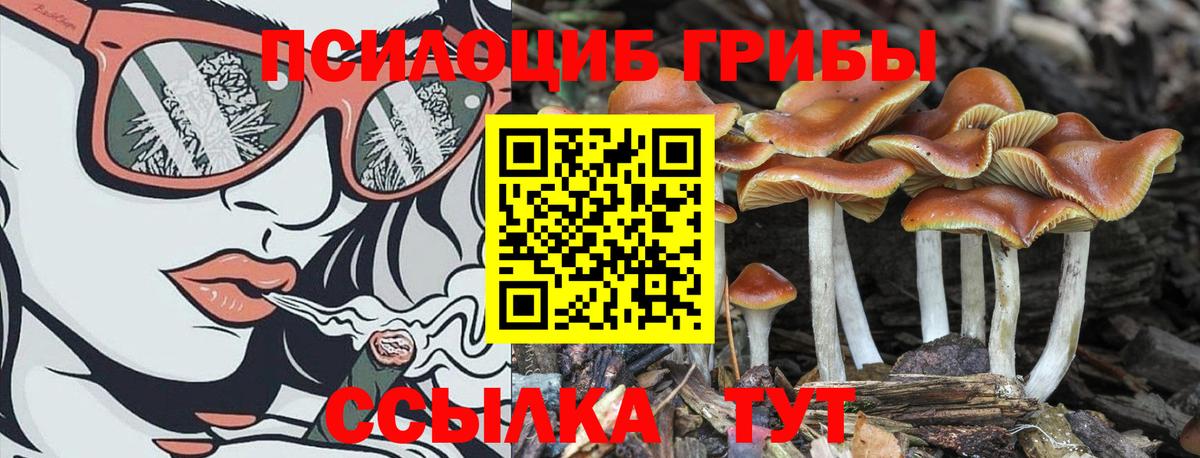 Шарыпово  Галлюциногенные грибы GOLDEN TEACHER  что такое наркотик  Галлюциногенные грибы мицелий  Вход с VPN 